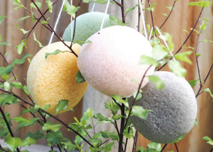Konjac Sponge