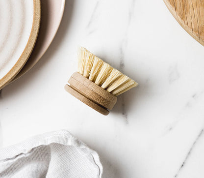 Ever Eco Dish Brush Replacement Head
