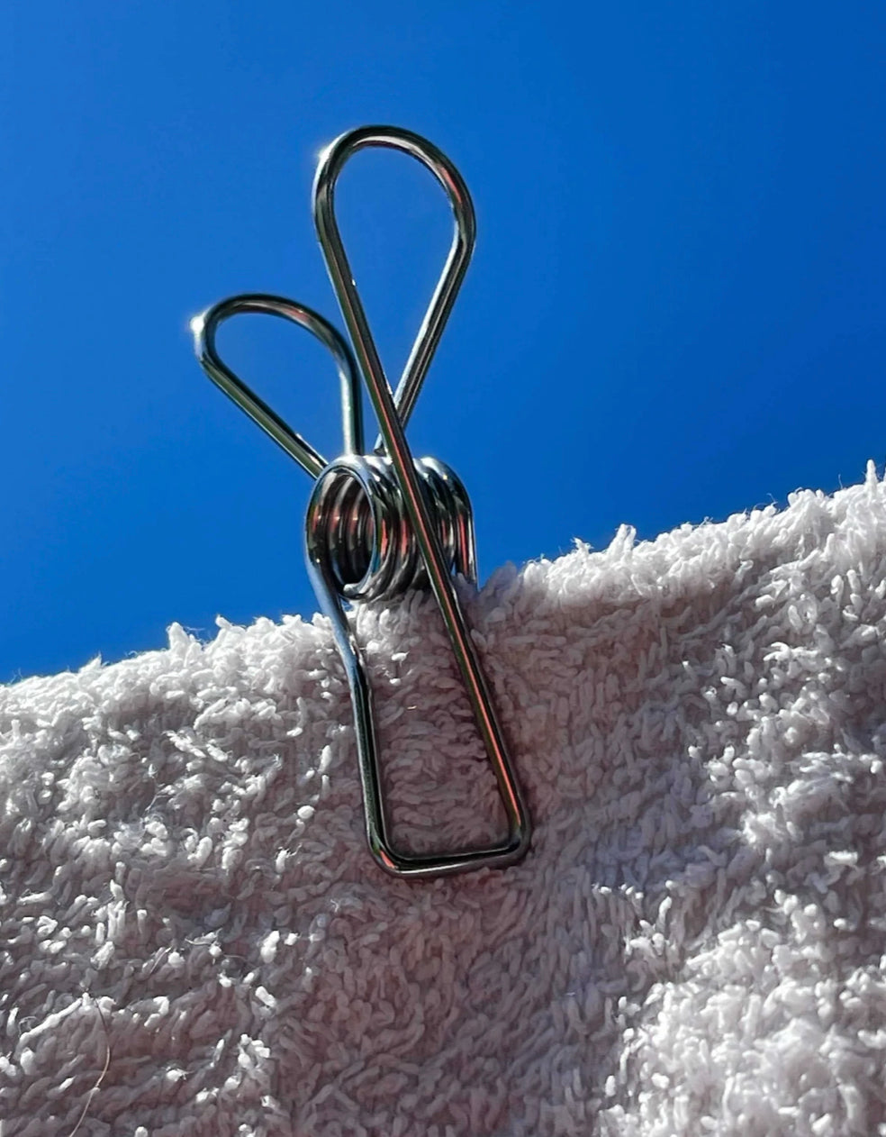 Stainless Steel Pegs 40 Pack