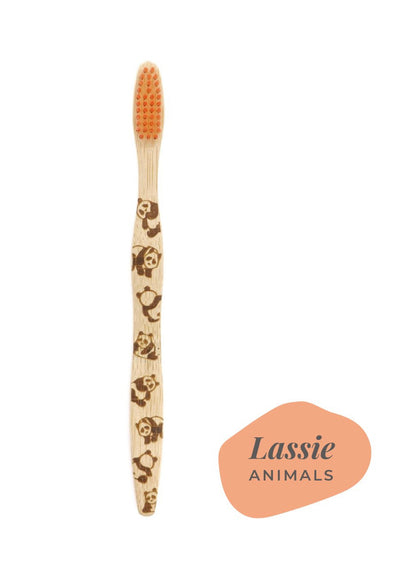 Bamboo Toothbrush